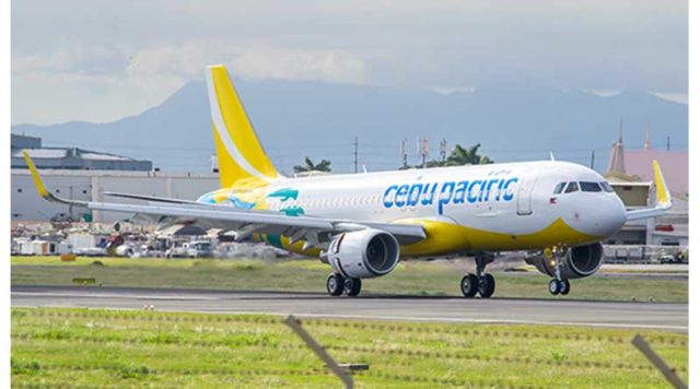 cebu pacific domestic flight baggage